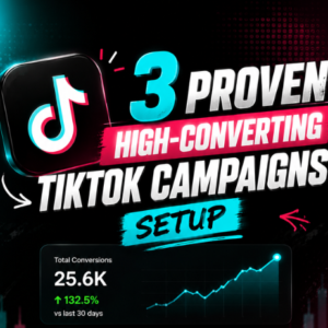 Tiktok Campaigns Setup